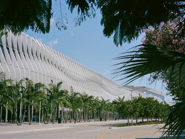 Art Basel Shapes Miami